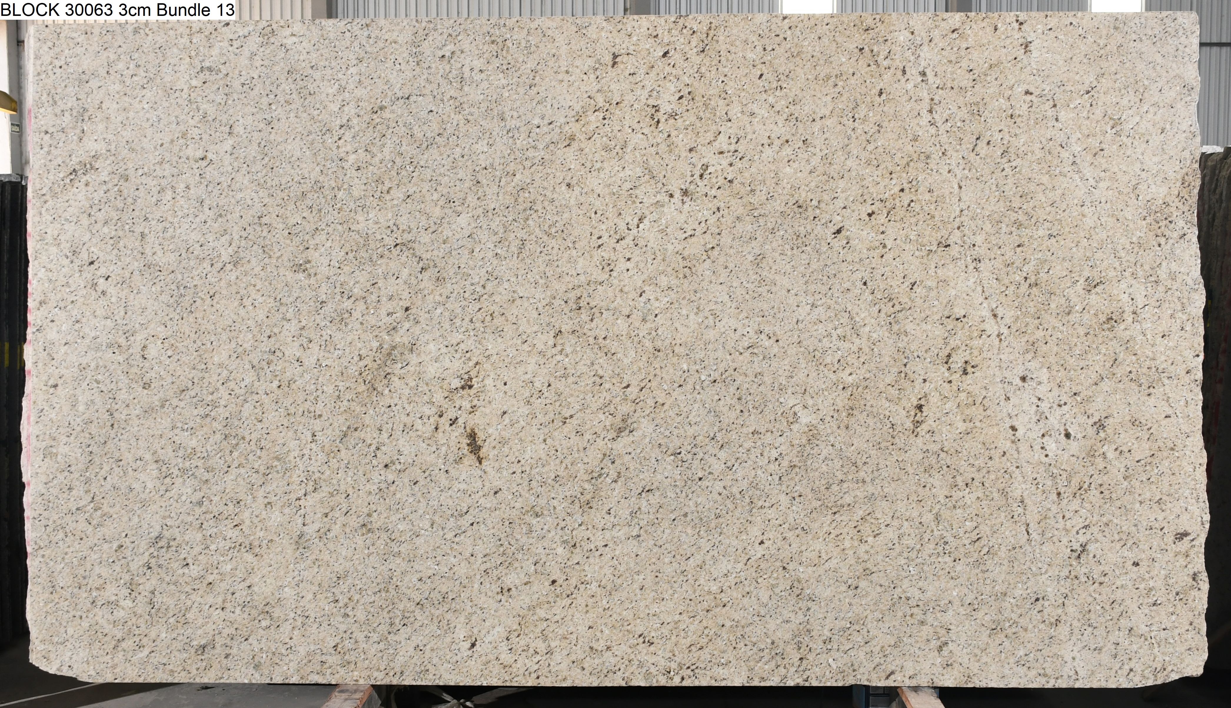 Ornamental Guidoni